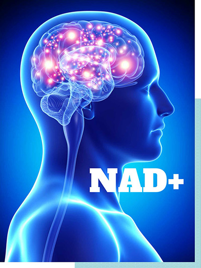nad+